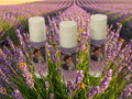 Lavender Lip Balm