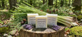 Lemongrass + Cedarwood Hemp Oil & Goat Milk Soap