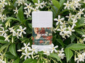 Jasmine Natural Deodorant