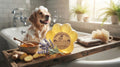 Ginger + Honey Dog Shampoo Bar