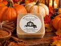 Pumpkin Cinnamon Swirl Goat Milk Soap