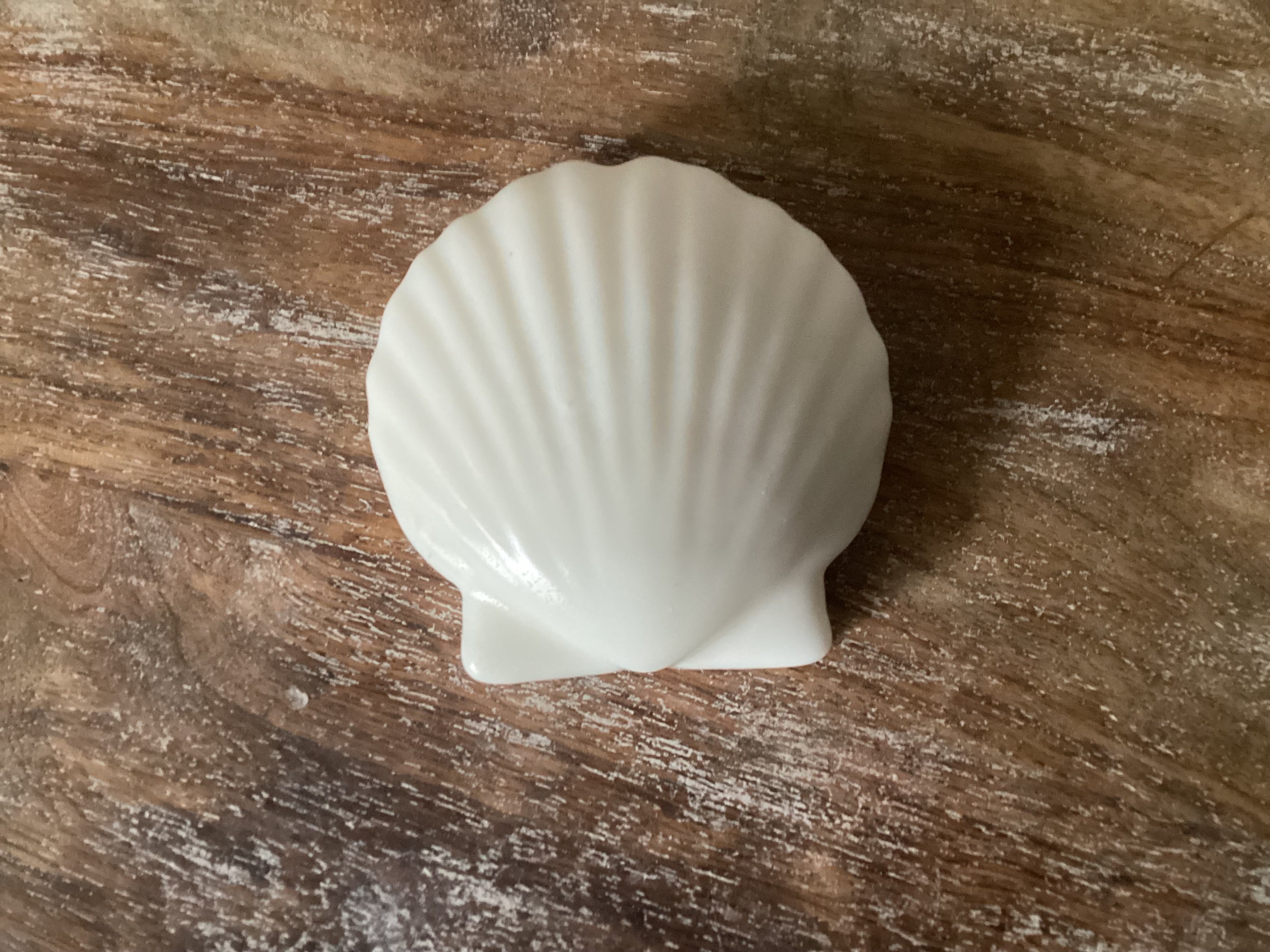 *Seashells By The Seashore* Goat Milk Soap