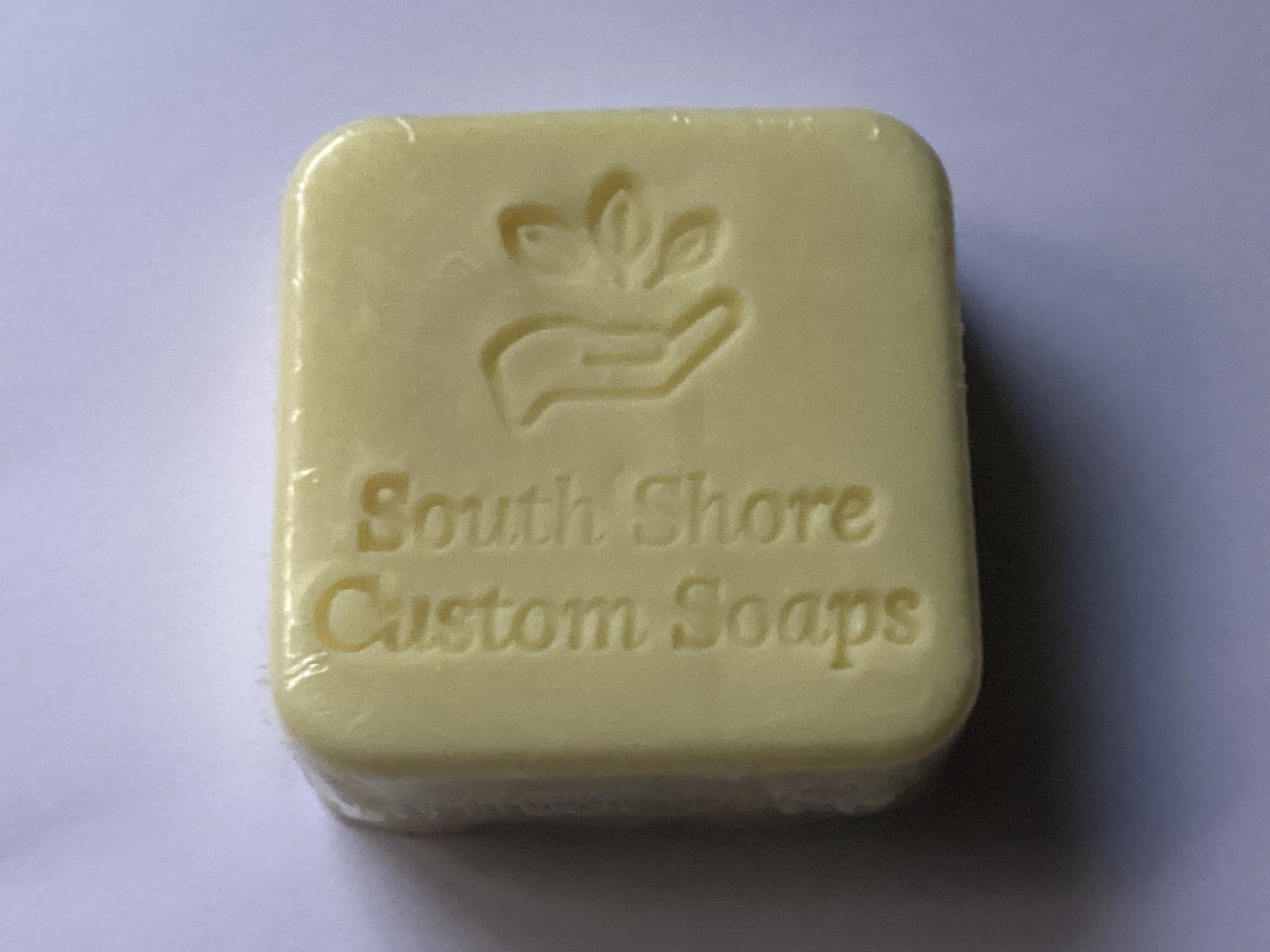 Lemon Eucalyptus Cleansing Hand Soap