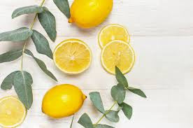 Lemon Eucalyptus Cleansing Hand Soap