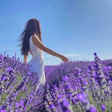 True Lavender Shea Butter Soap