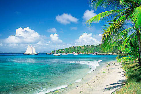 Caribbean Escape Natural Liquid Laundry Detergent